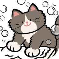 猫猫洗衣 v1.1