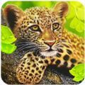 豹模拟 v1.0.4