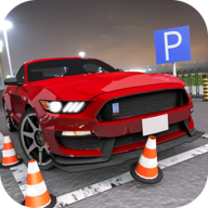 棘手的停车场游戏3D v1.17