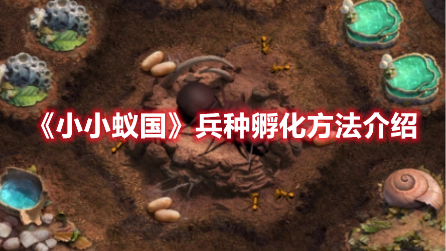 《小小蚁国》兵种孵化方法介绍